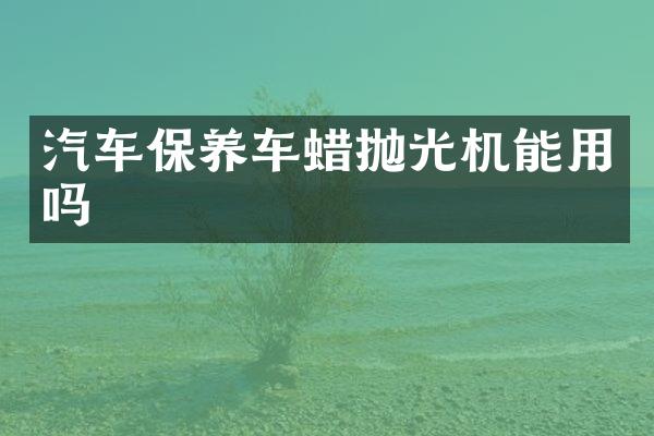 汽车保养车蜡抛光机能用吗