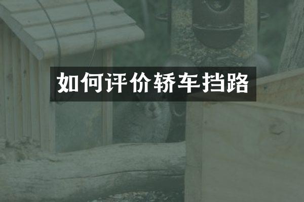 如何评价轿车挡路