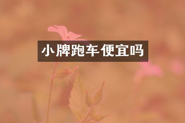 小牌跑车便宜吗