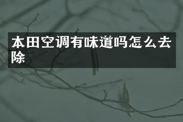 本田空调有味道吗怎么去除