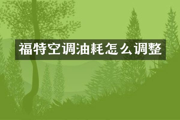 福特空调油耗怎么调整