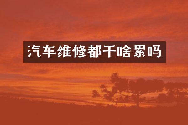 汽车维修都干啥累吗