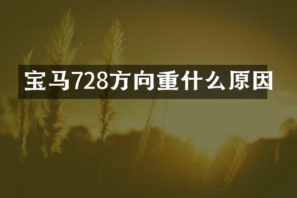宝马728方向重什么原因