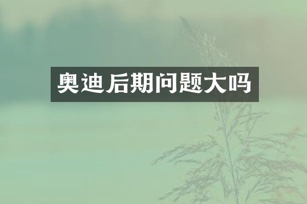 奥迪后期问题大吗