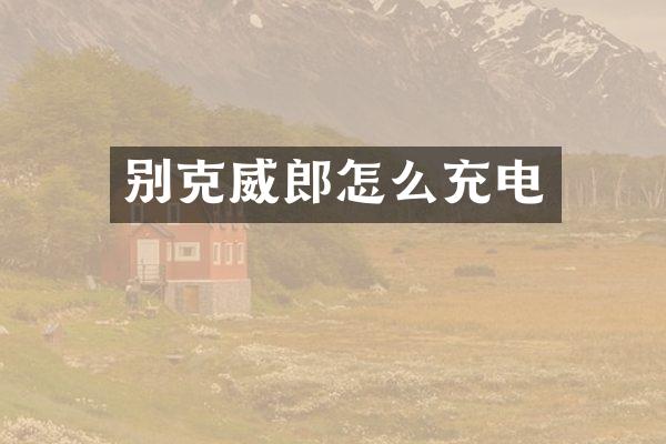 别克威郎怎么充电