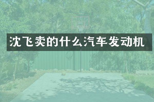 沈飞卖的什么汽车发动机