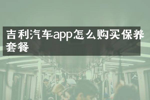 吉利汽车app怎么购买保养套餐