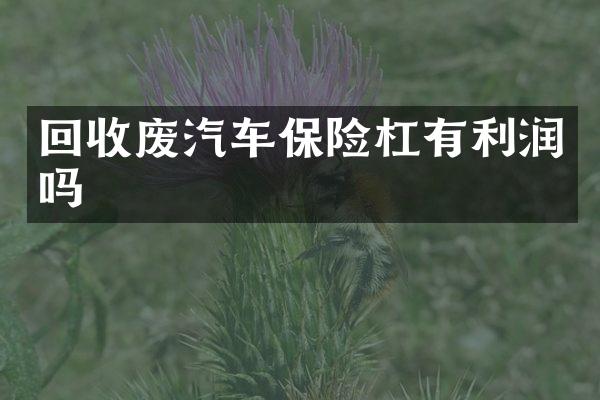 回收废汽车保险杠有利润吗