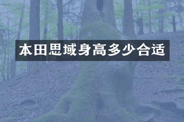 本田思域身高多少合适