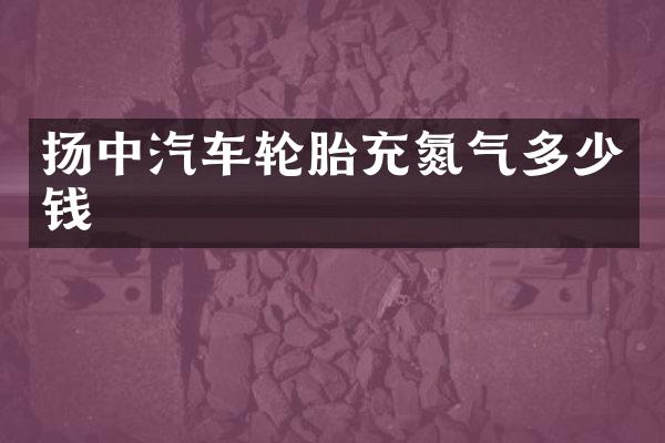 扬中汽车轮胎充氮气多少钱