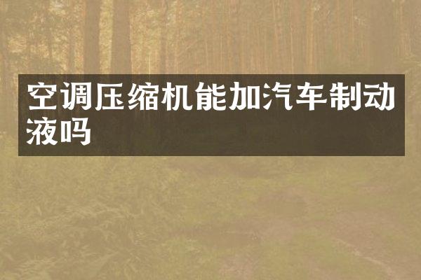空调压缩机能加汽车制动液吗