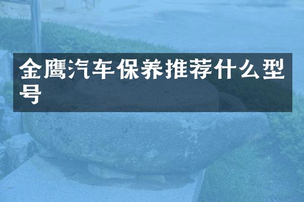 金鹰汽车保养推荐什么型号