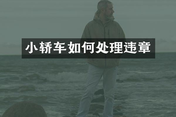 小轿车如何处理违章