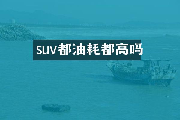 suv都油耗都高吗