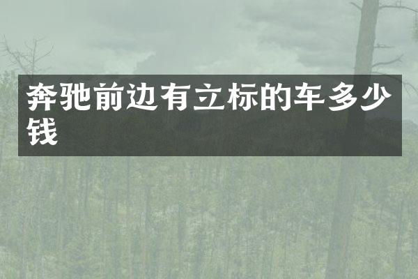 奔驰前边有立标的车多少钱