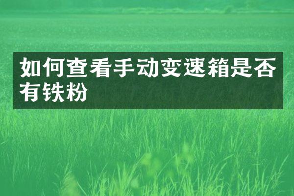 如何查看手动变速箱是否有铁粉