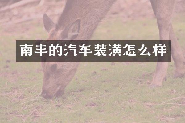 南丰的汽车装潢怎么样