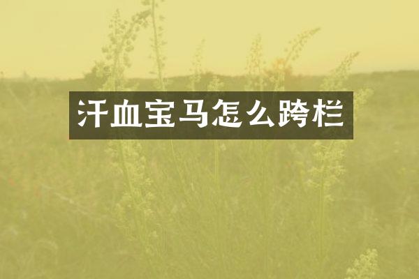 汗血宝马怎么跨栏