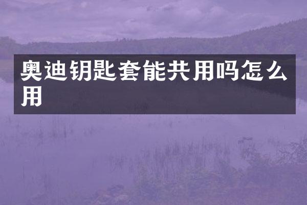 奥迪钥匙套能共用吗怎么用