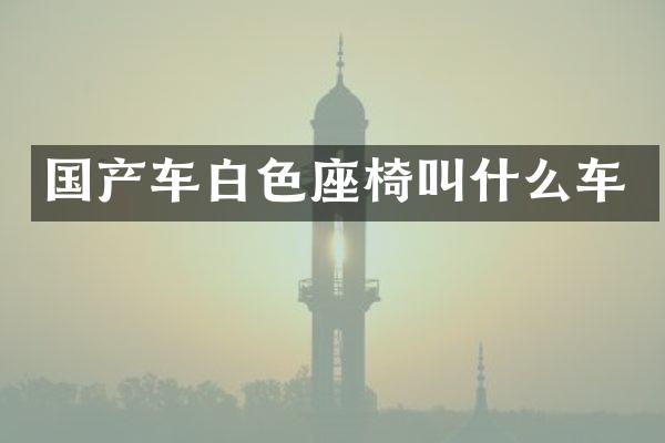 国产车白色座椅叫什么车
