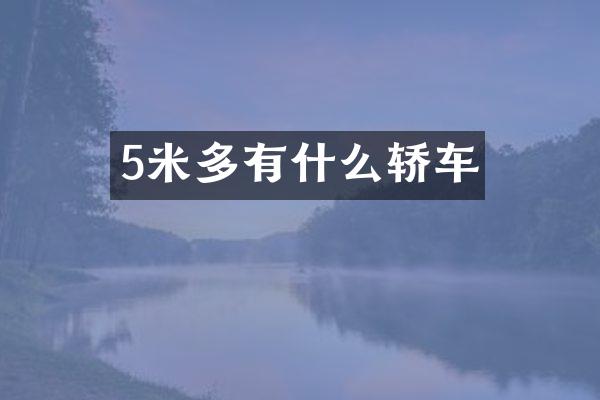 5米多有什么轿车