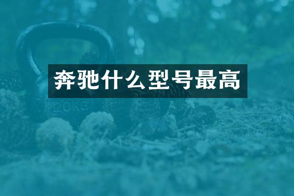 奔驰什么型号最高