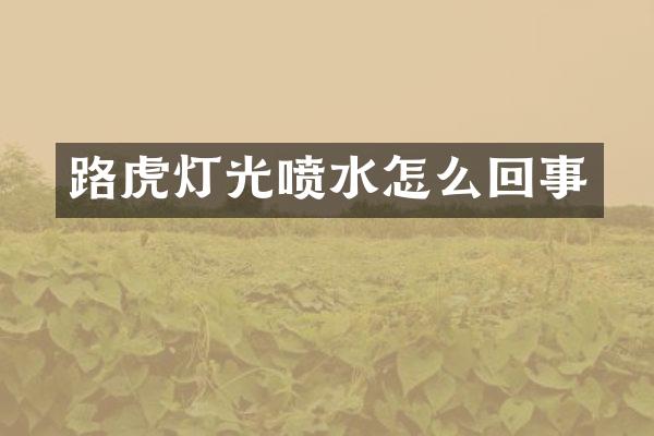 路虎灯光喷水怎么回事