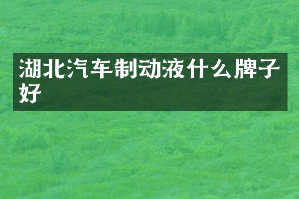 湖北汽车制动液什么牌子好