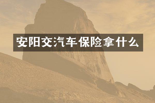 安阳交汽车保险拿什么