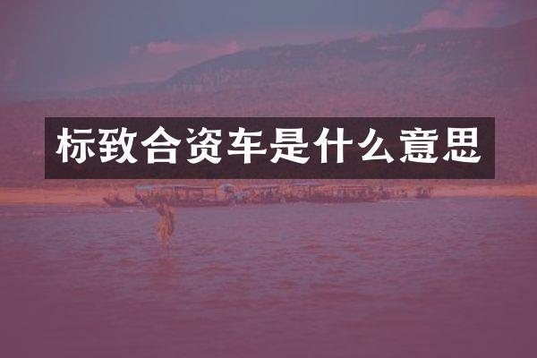 标致合资车是什么意思