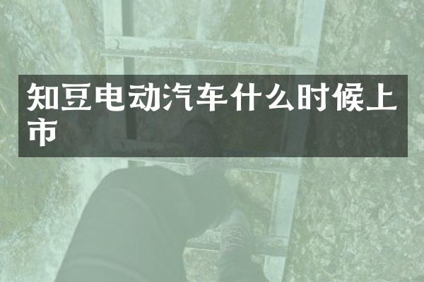 知豆电动汽车什么时候上市