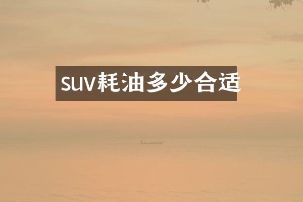 suv耗油多少合适