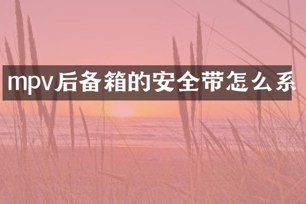 mpv后备箱的安全带怎么系