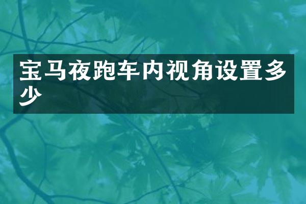 宝马夜跑车内视角设置多少