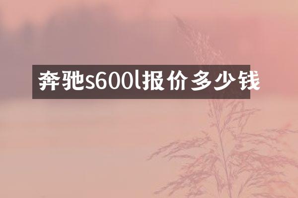 奔驰s600l报价多少钱