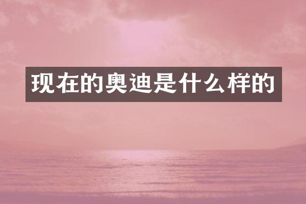 现在的奥迪是什么样的