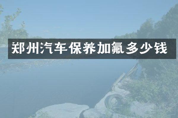 郑州汽车保养加氟多少钱