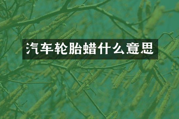 汽车轮胎蜡什么意思