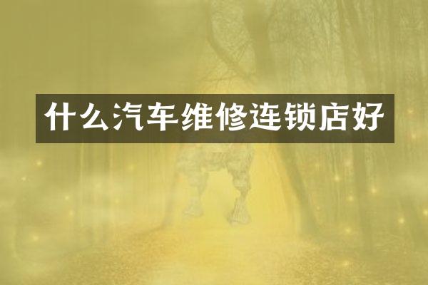 什么汽车维修连锁店好