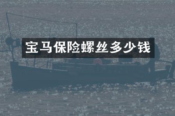 宝马保险螺丝多少钱