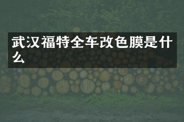 武汉福特全车改色膜是什么