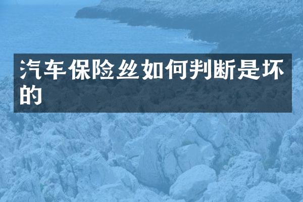 汽车保险丝如何判断是坏的