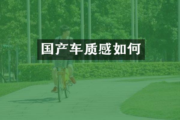 国产车质感如何