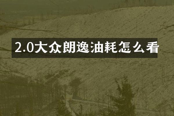 2.0大众朗逸油耗怎么看