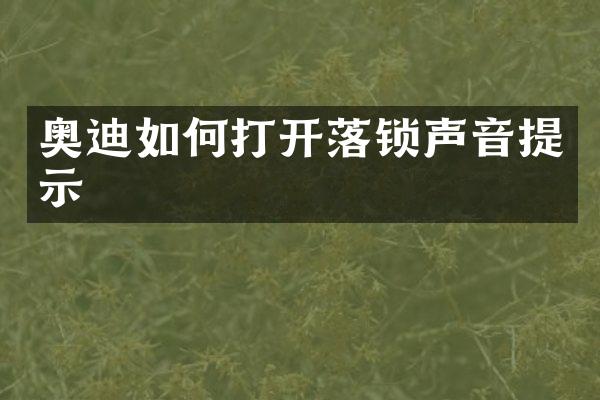 奥迪如何打开落锁声音提示