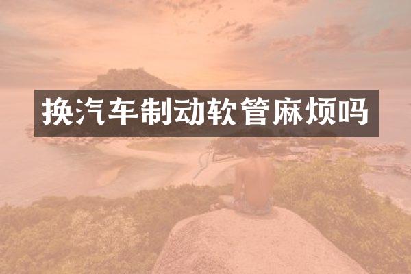 换汽车制动软管麻烦吗