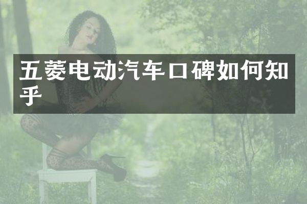 五菱电动汽车口碑如何知乎