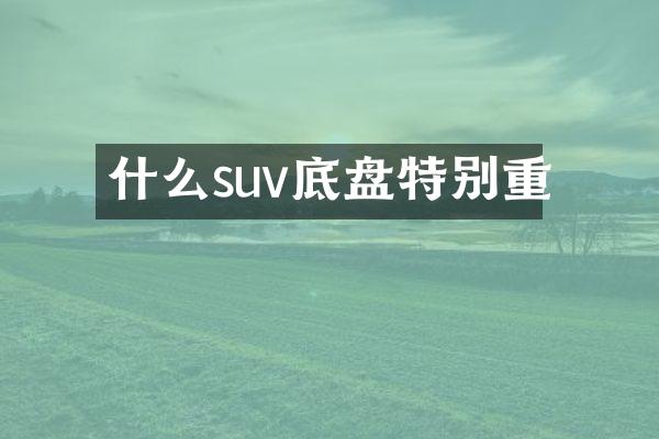 什么suv底盘特别重