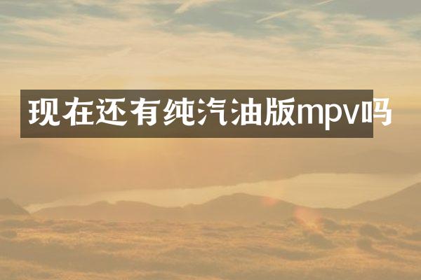 现在还有纯汽油版mpv吗