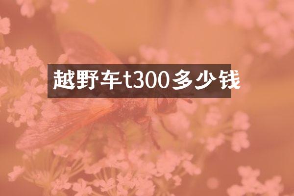 越野车t300多少钱